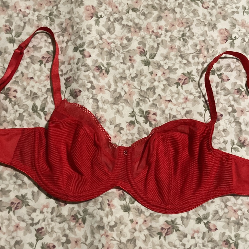 Conturelle Red Bra - Picture 3 of 9